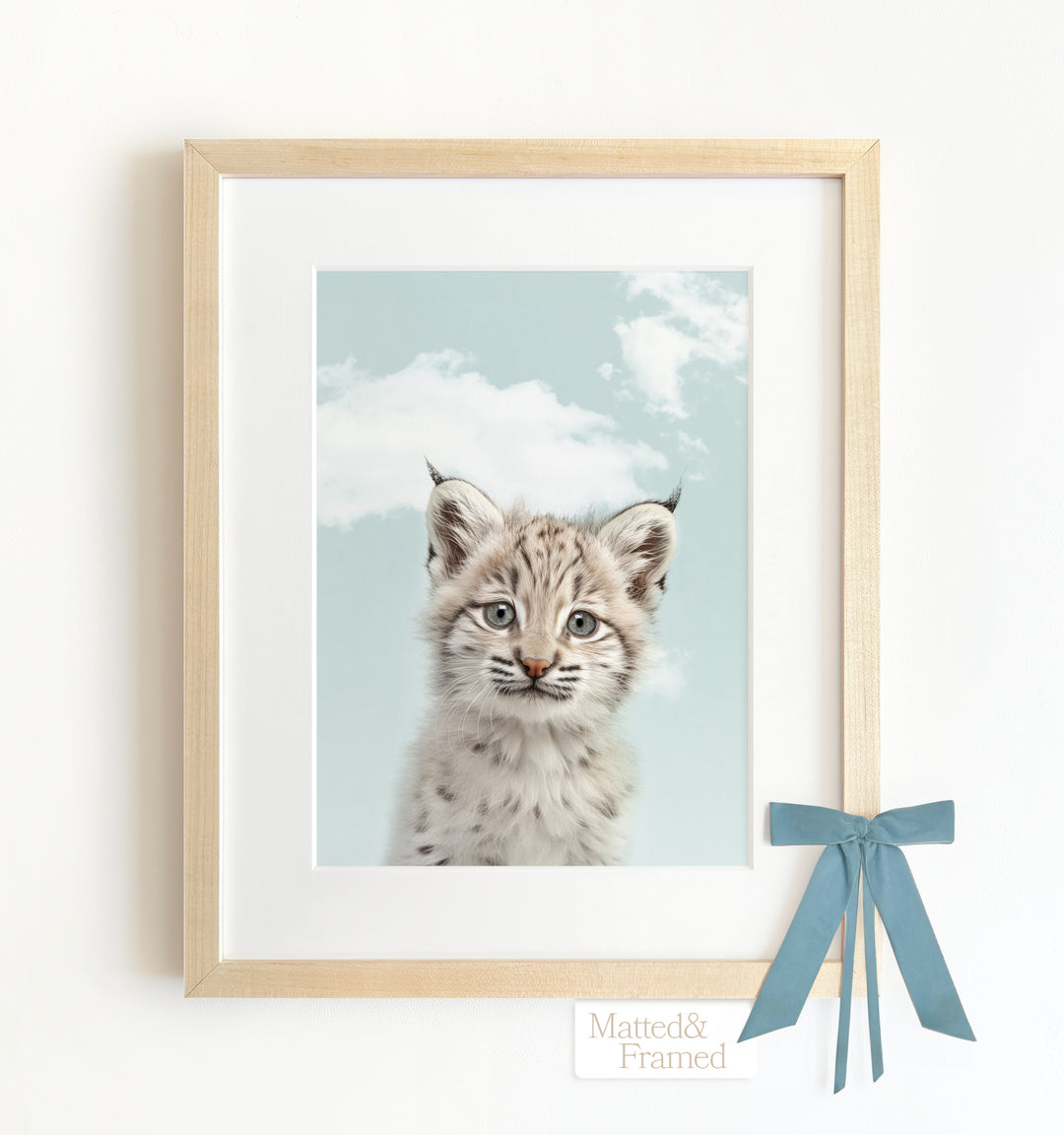 Baby Bobcat Framed Art