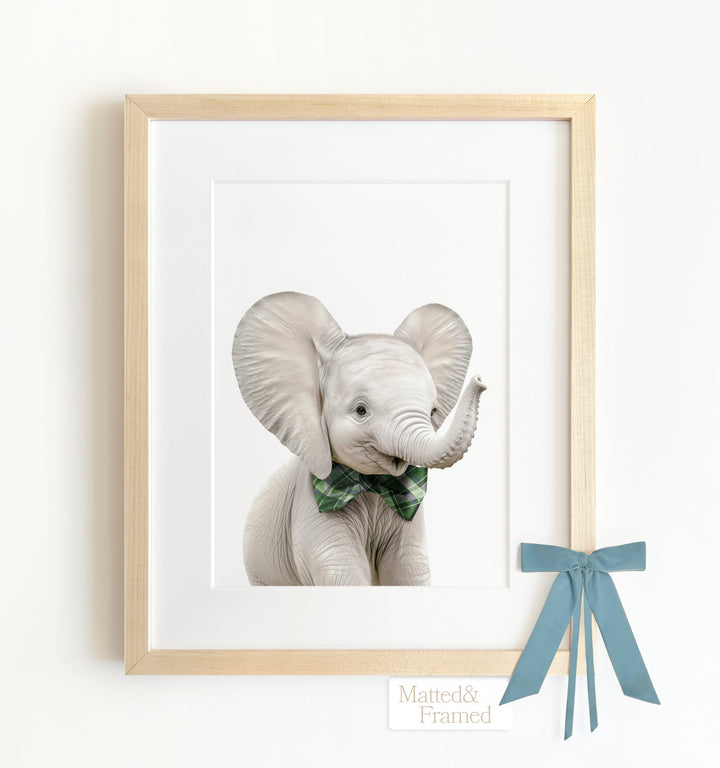 Baby Elephant Framed Art