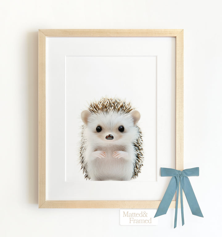 Baby Hedgehog Framed Art