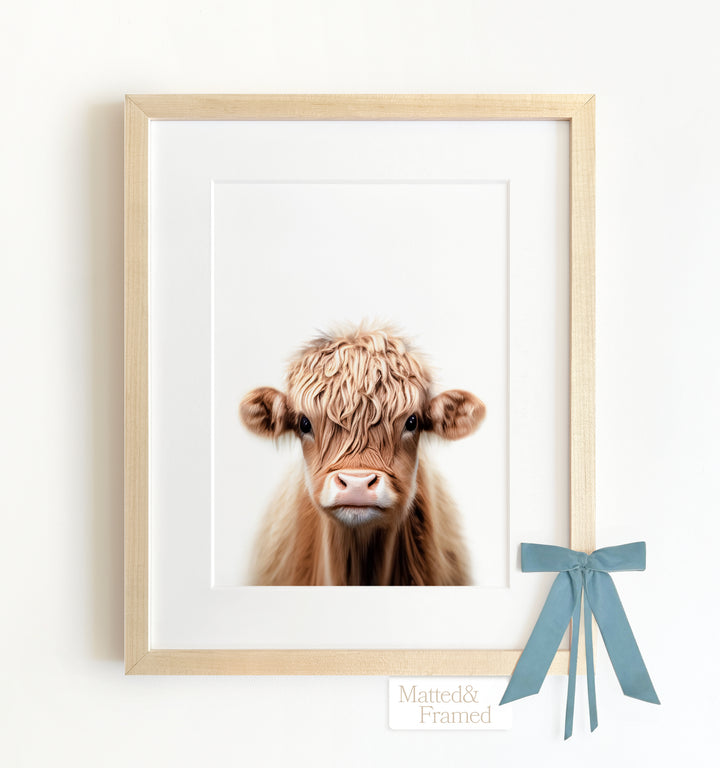 Baby Highland Cow Framed Art