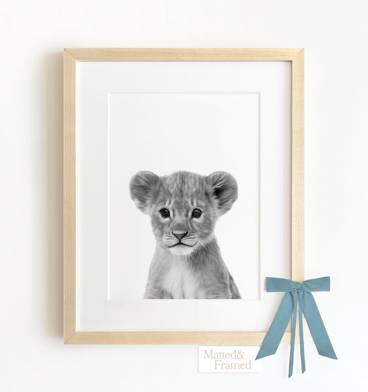 Baby Lion Framed Art