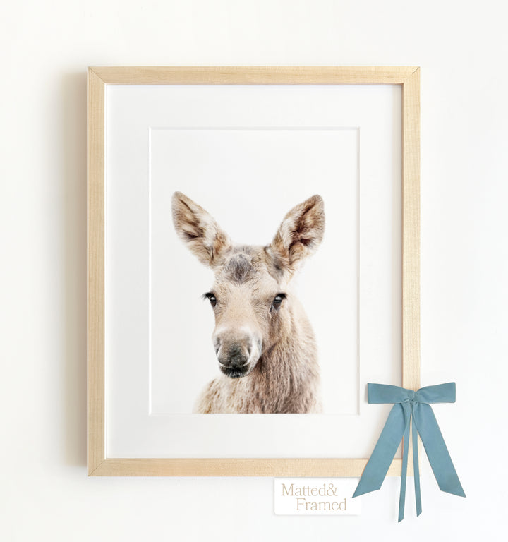 Baby Moose Framed Art