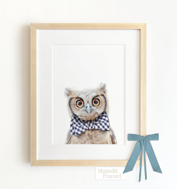 Baby Owl Framed Art