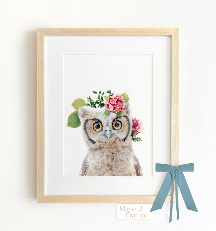 Baby Owl Framed Art