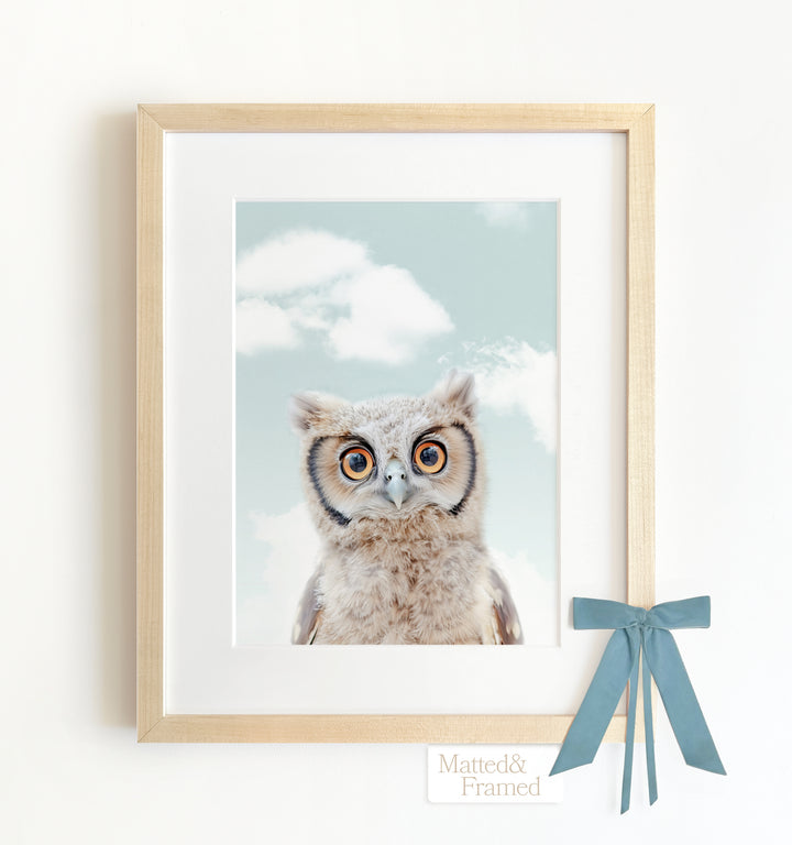 Baby Owl Framed Art