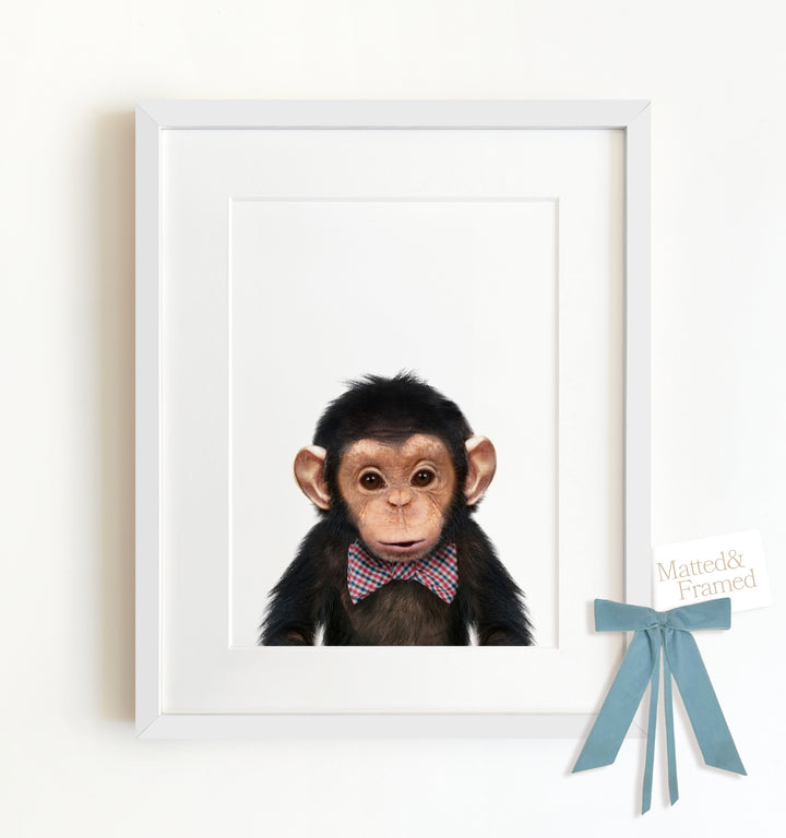 Baby Chimpanzee Framed Art