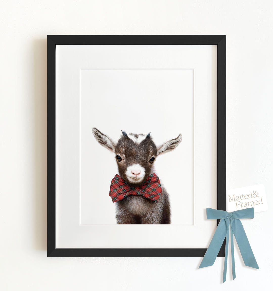 Baby Goat Framed Art