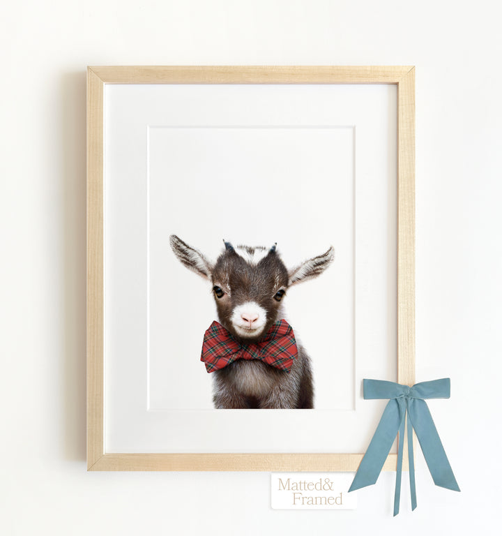 Baby Goat Framed Art