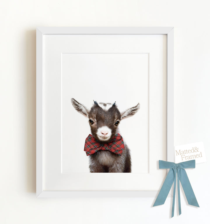 Baby Goat Framed Art