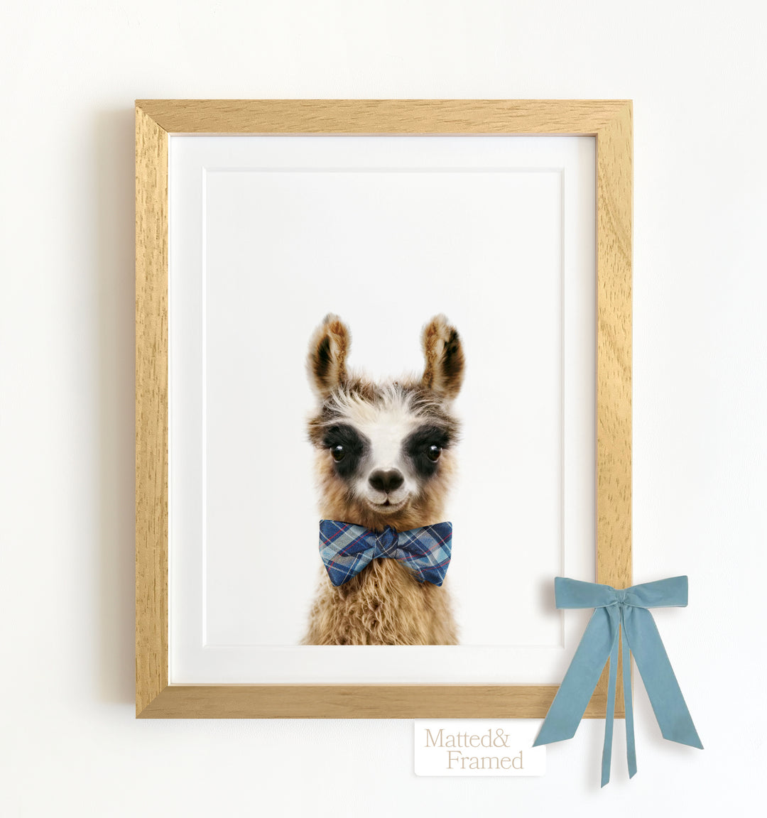 Baby Llama Framed Art