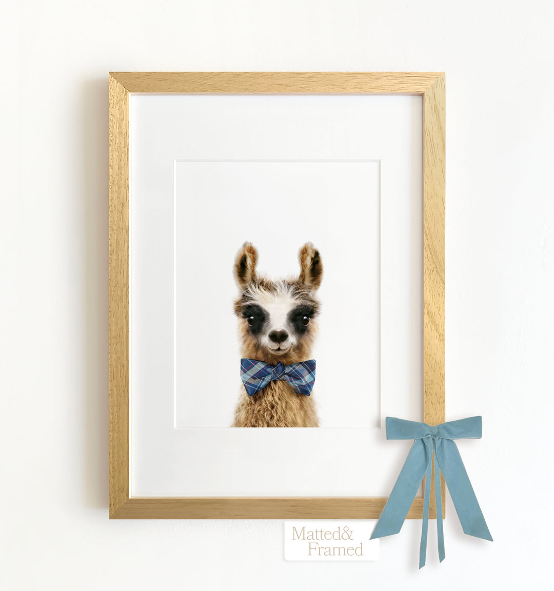 Baby Llama Framed Art