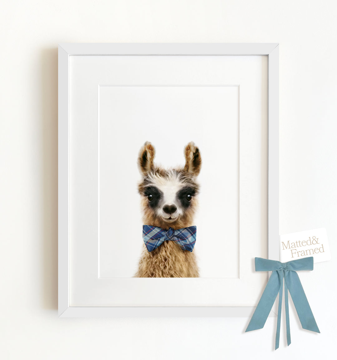 Baby Llama Framed Art