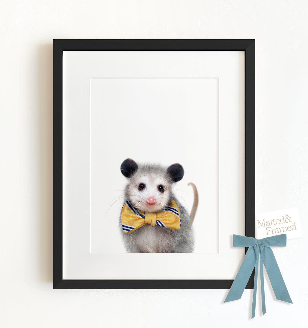 Baby Opossum Framed Art