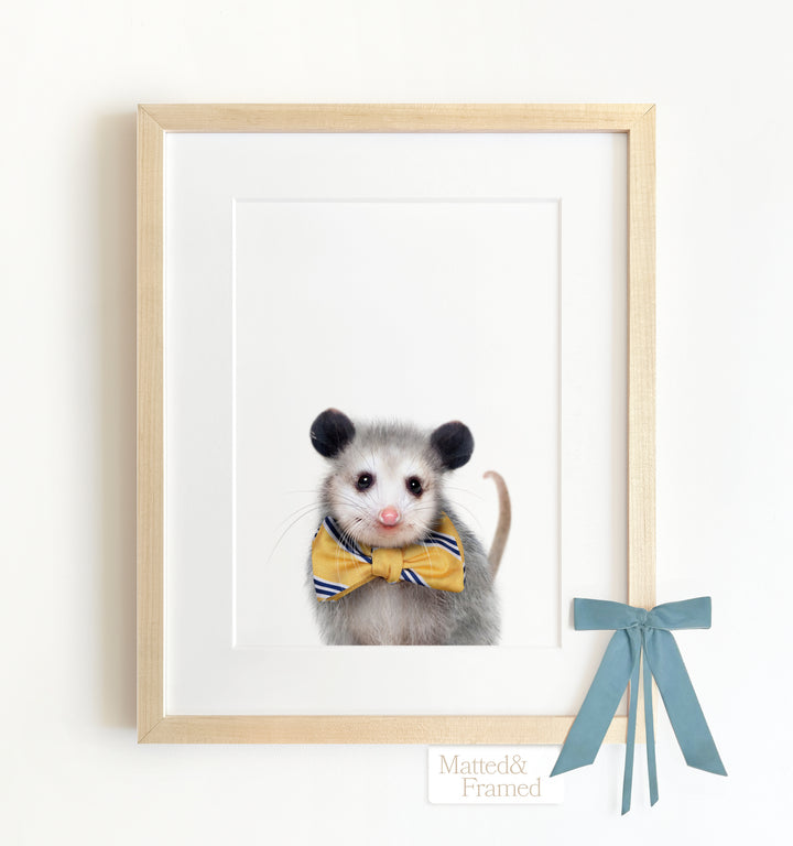 Baby Opossum Framed Art