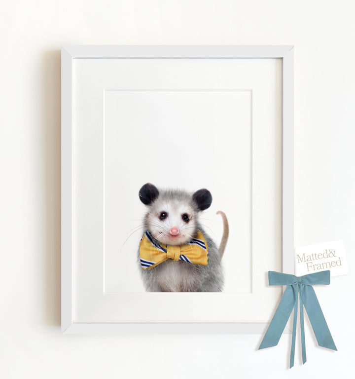 Baby Opossum Framed Art