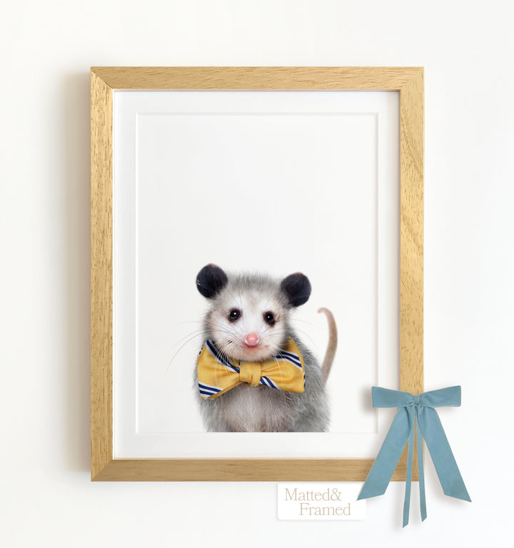 Baby Opossum Framed Art