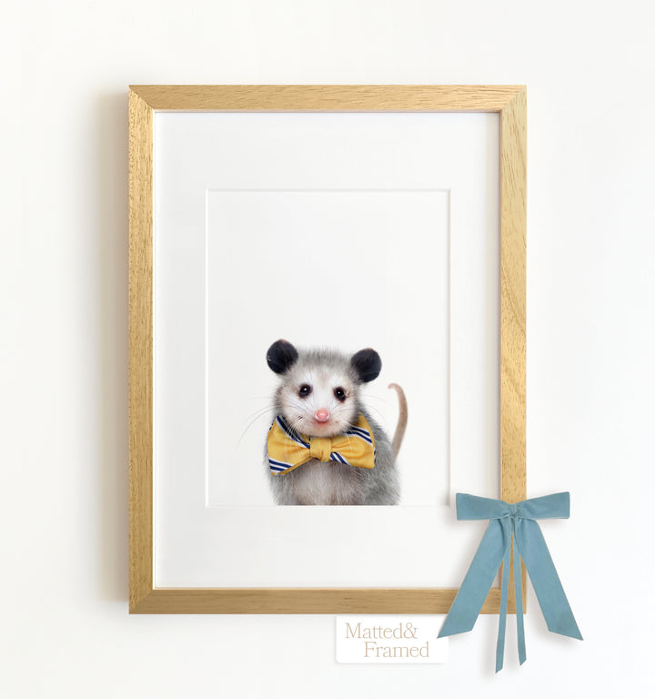 Baby Opossum Framed Art