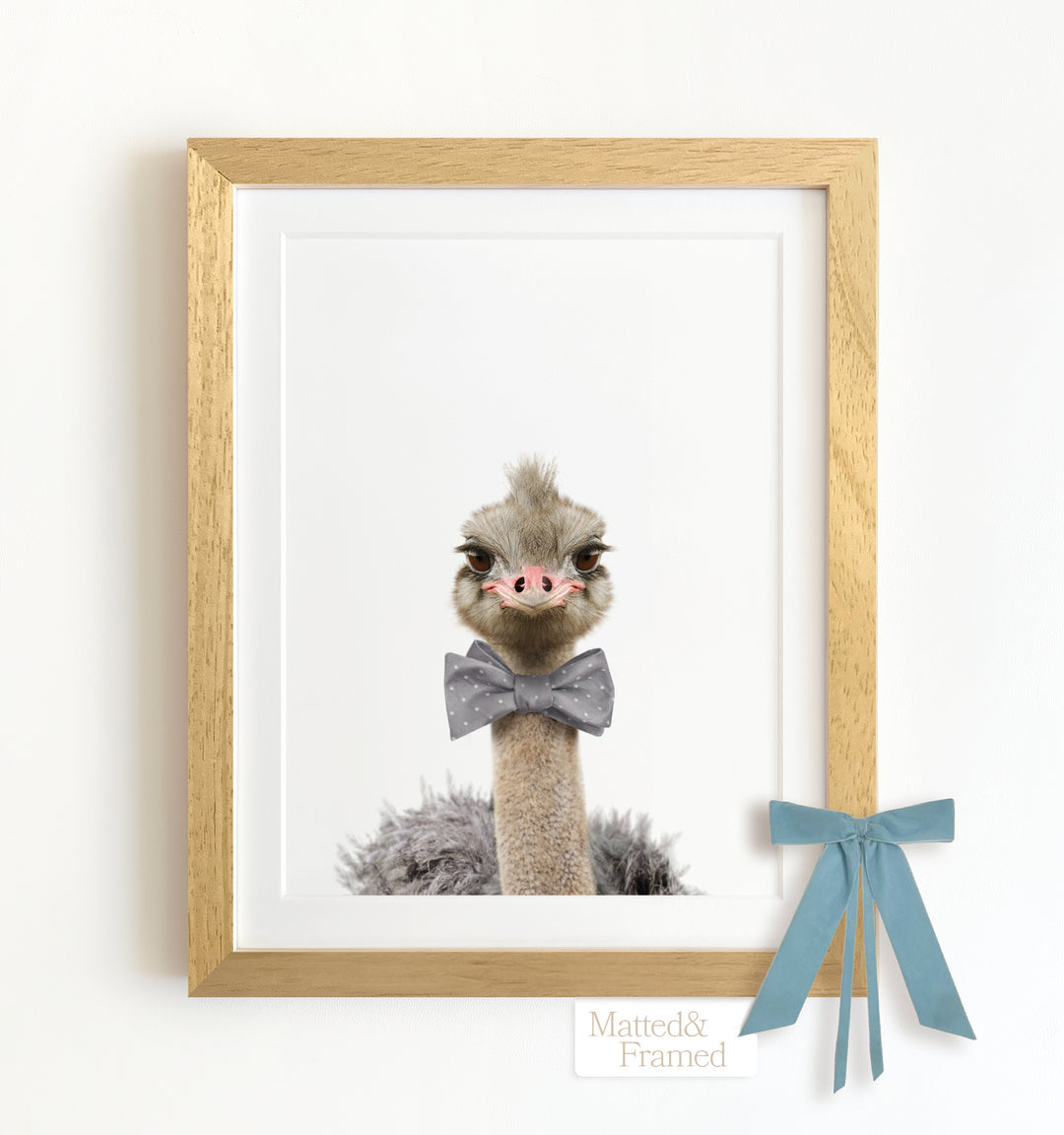 Baby Ostrich Framed Art