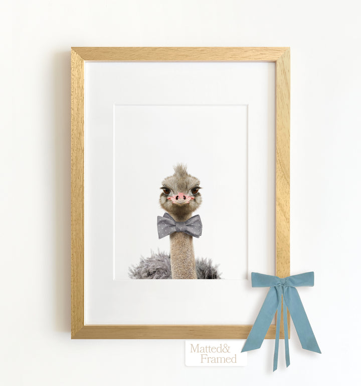 Baby Ostrich Framed Art