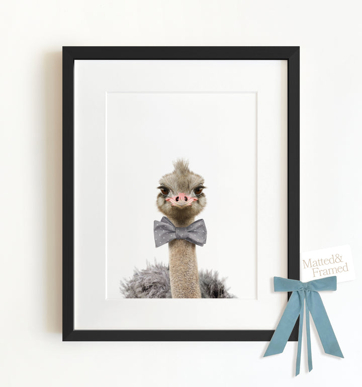 Baby Ostrich Framed Art