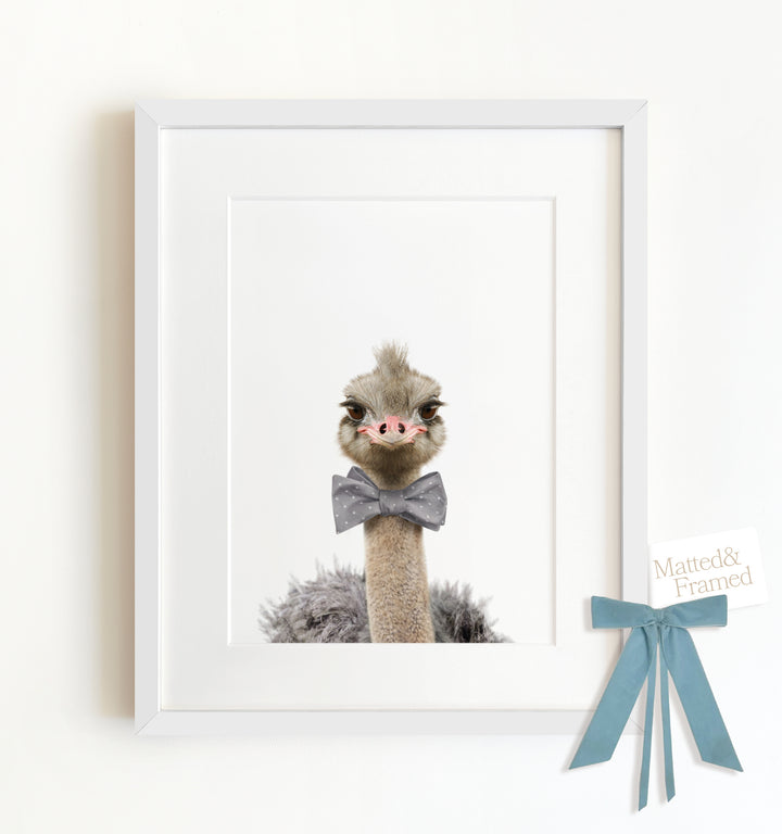 Baby Ostrich Framed Art