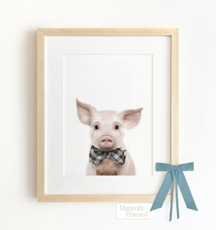 Baby Pig No. 2 Framed Art