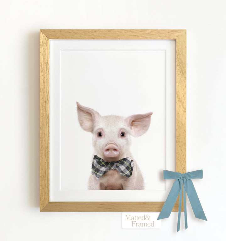 Baby Pig No. 2 Framed Art