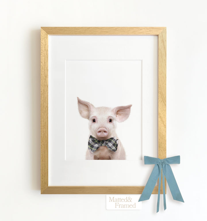 Baby Pig No. 2 Framed Art