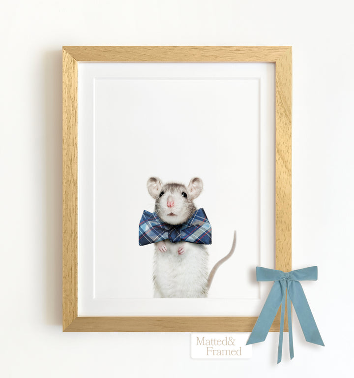 Baby Rat Framed Art