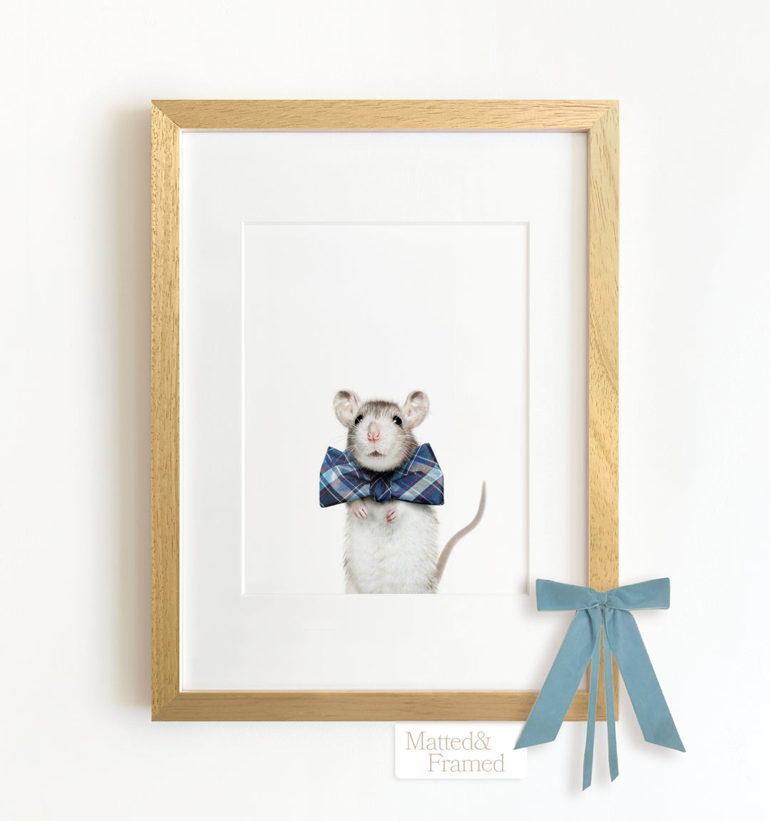 Baby Rat Framed Art