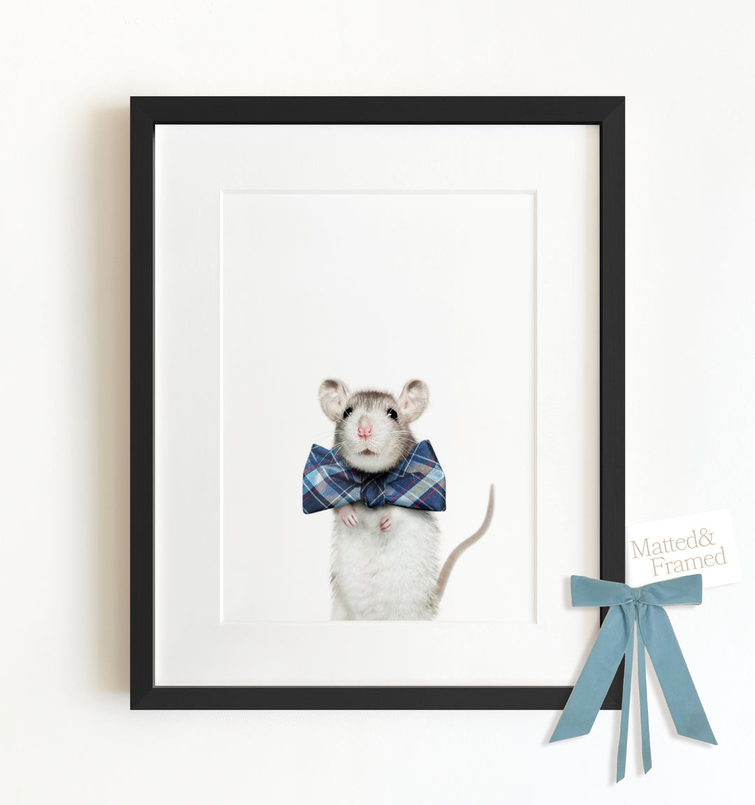 Baby Rat Framed Art