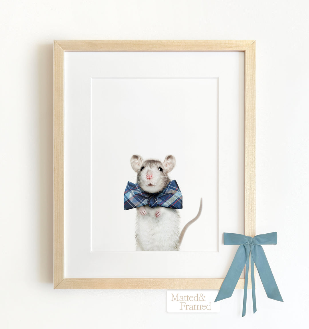 Baby Rat Framed Art