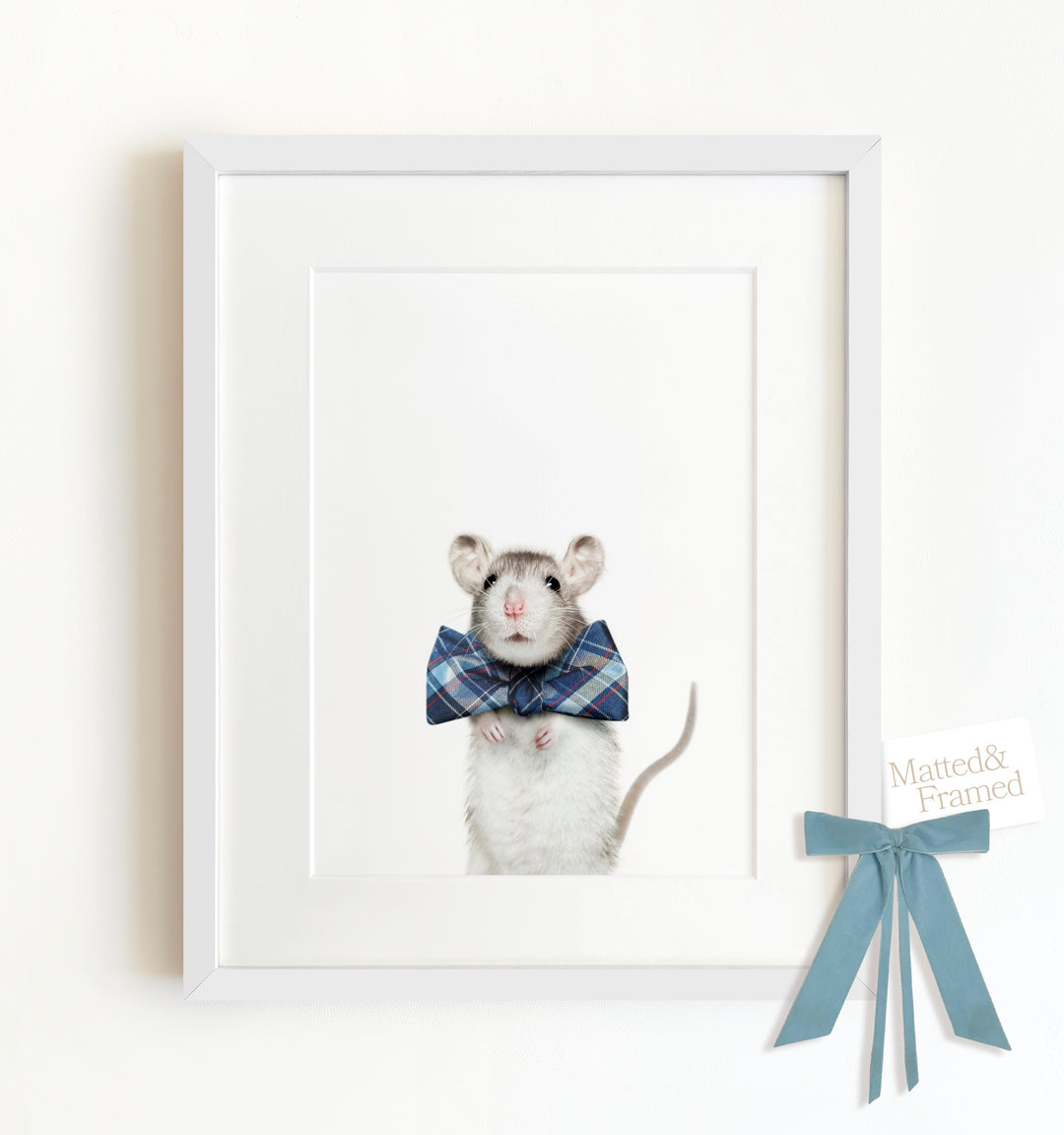 Baby Rat Framed Art