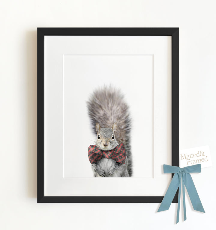 Baby Squirrel Framed Art