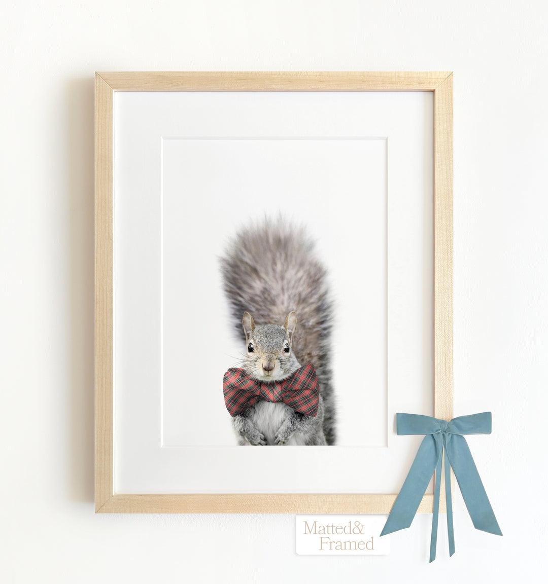 Baby Squirrel Framed Art