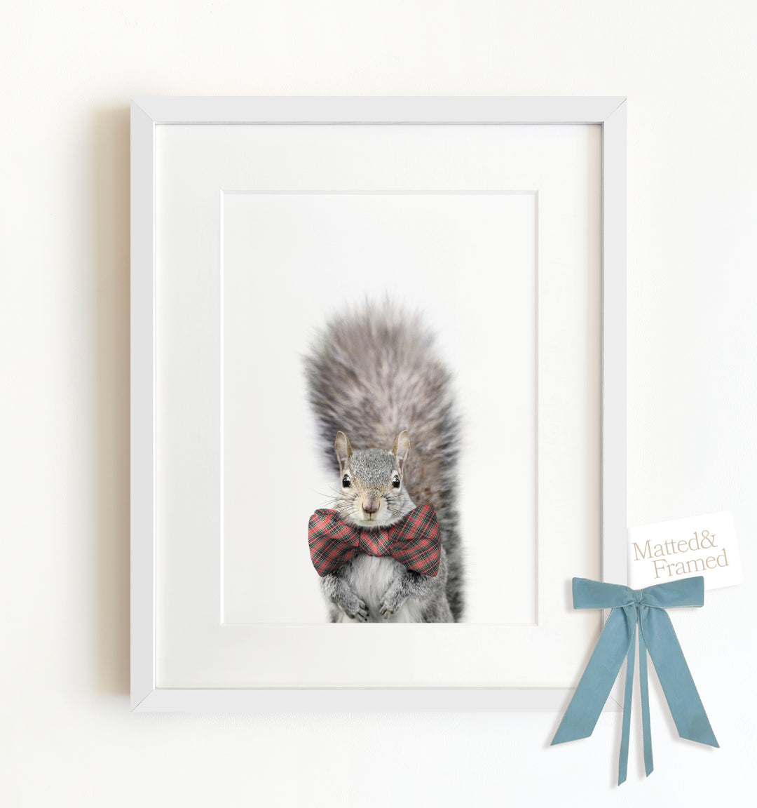 Baby Squirrel Framed Art