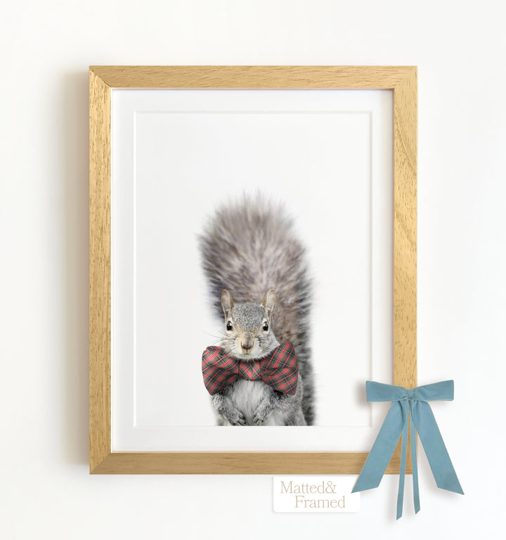 Baby Squirrel Framed Art