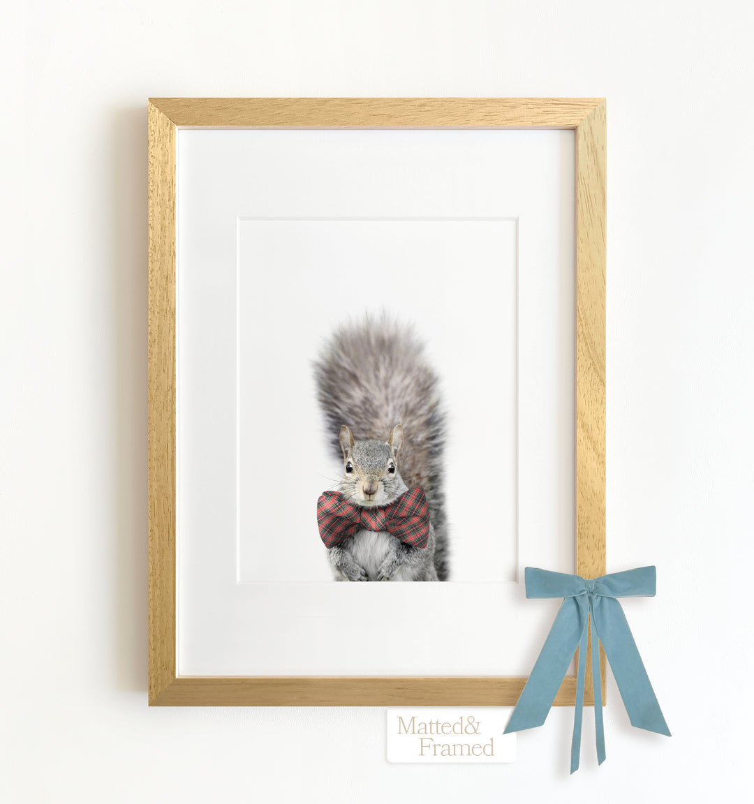 Baby Squirrel Framed Art