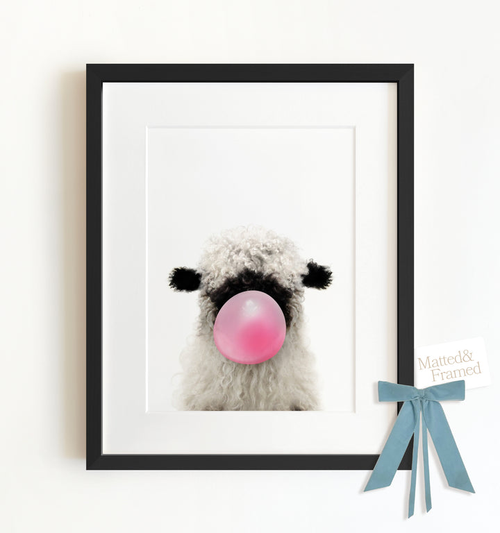 Baby Blacknose Sheep Framed Art