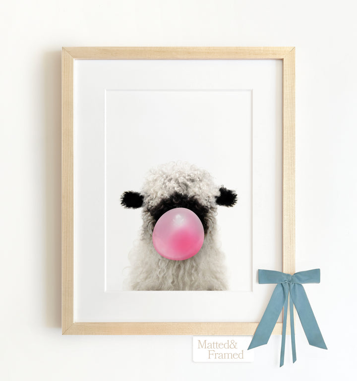 Baby Blacknose Sheep Framed Art