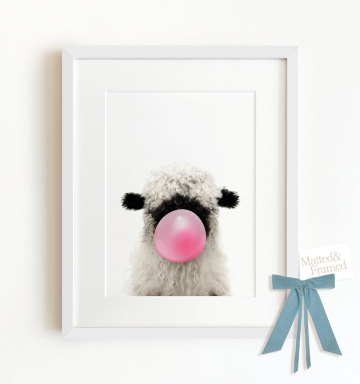 Baby Blacknose Sheep Framed Art