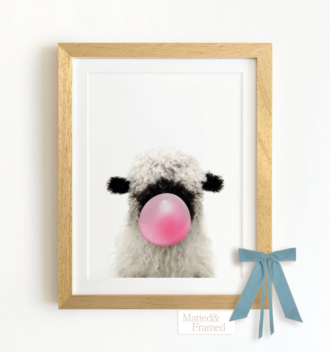 Baby Blacknose Sheep Framed Art