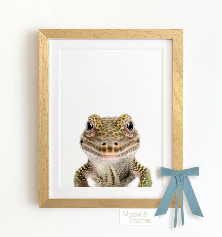 Baby Alligator Framed Art