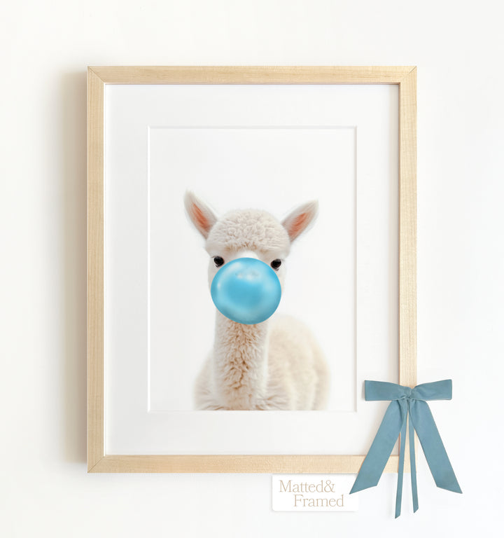 Baby Alpaca Framed Art