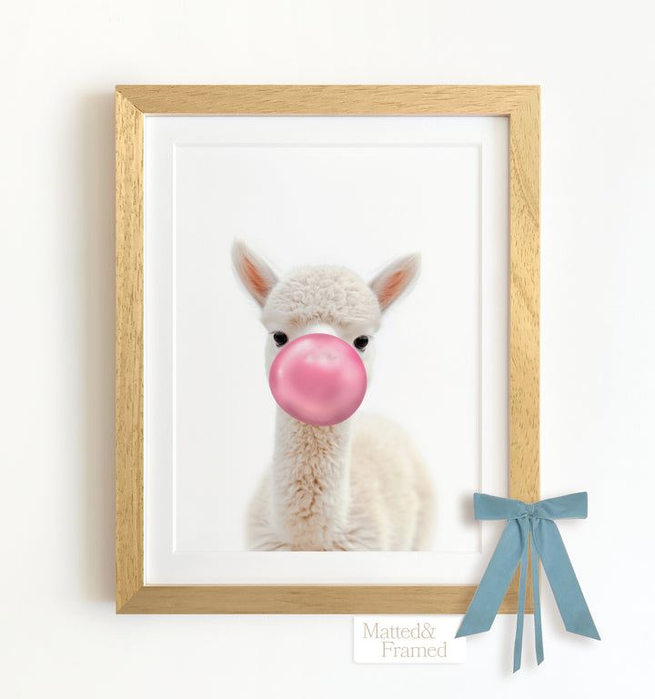 Baby Alpaca Framed Art