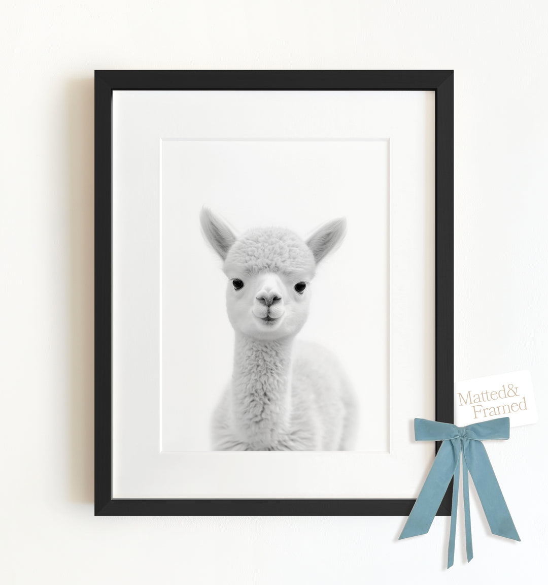 Baby Alpaca Framed Art