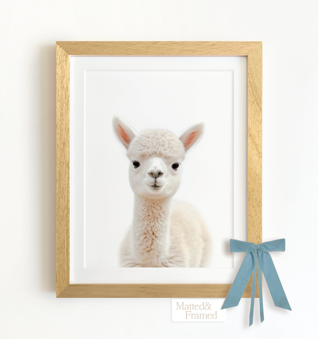 Baby Alpaca Framed Art