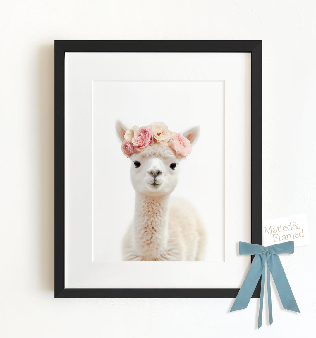 Baby Alpaca Framed Art