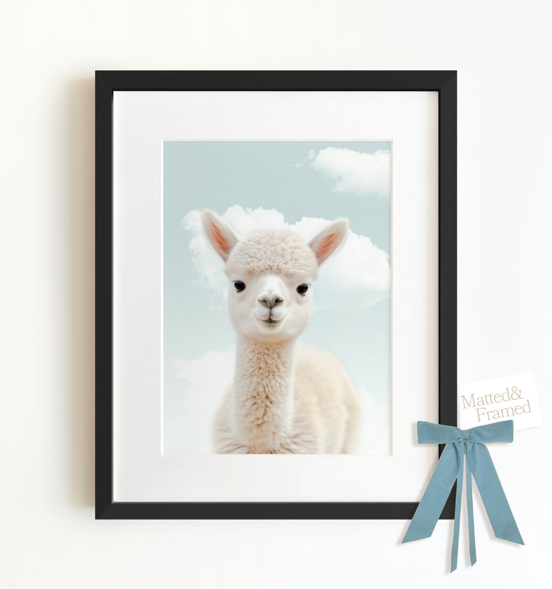 Baby Alpaca Framed Art