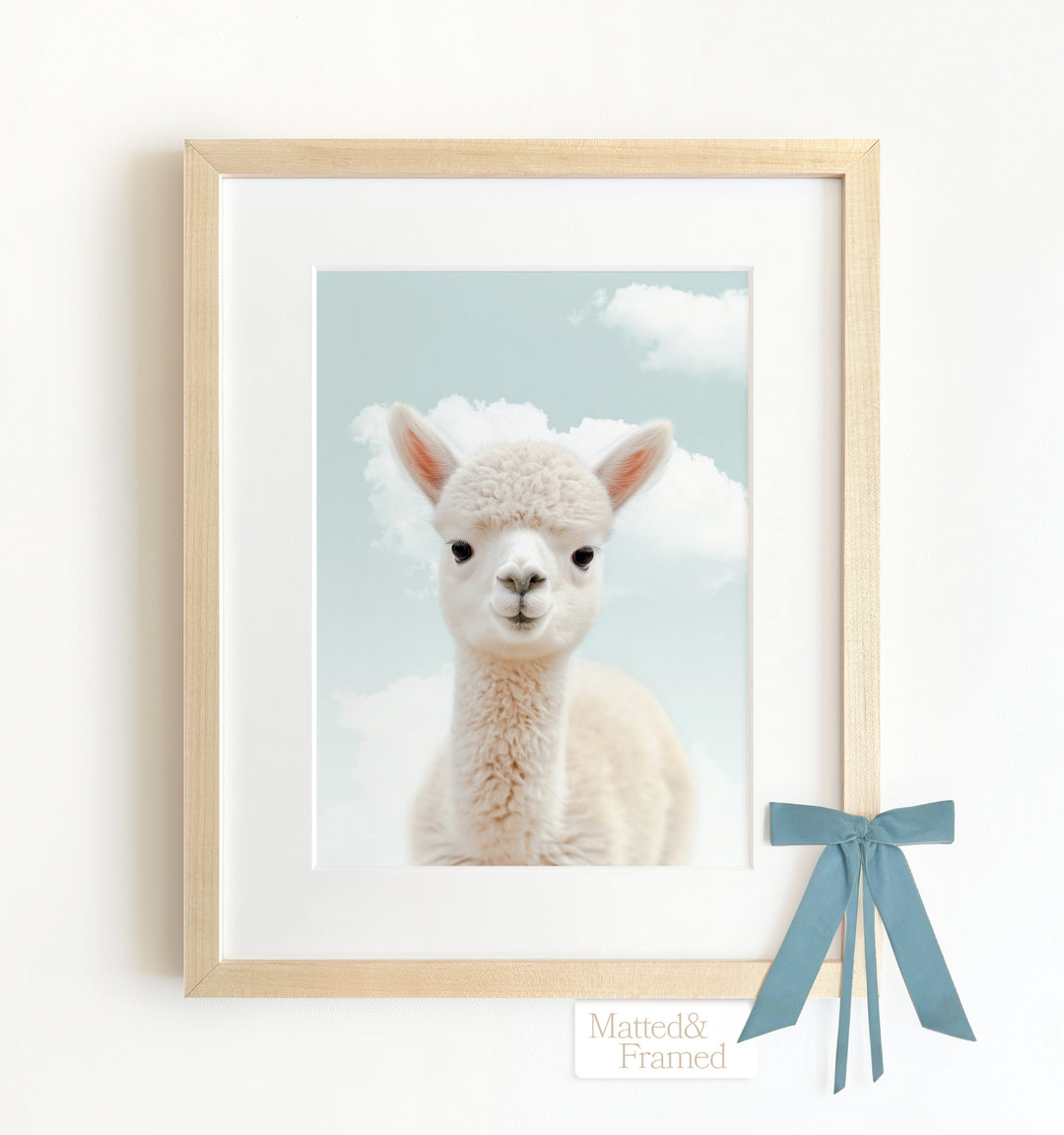 Baby Alpaca Framed Art